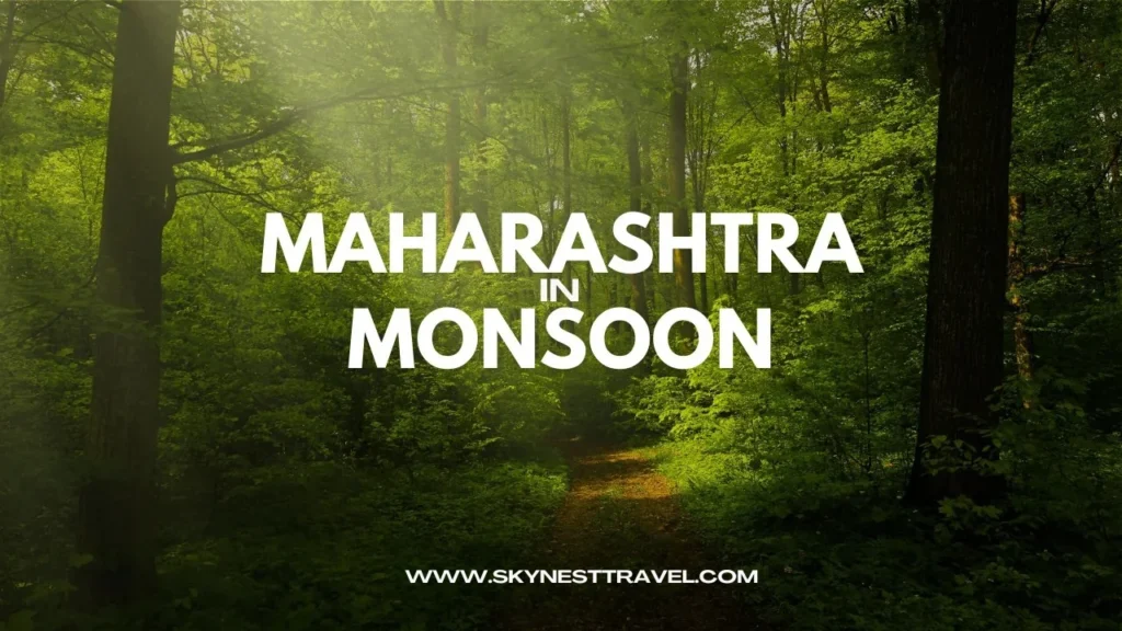 Maharashtra in Monsoon